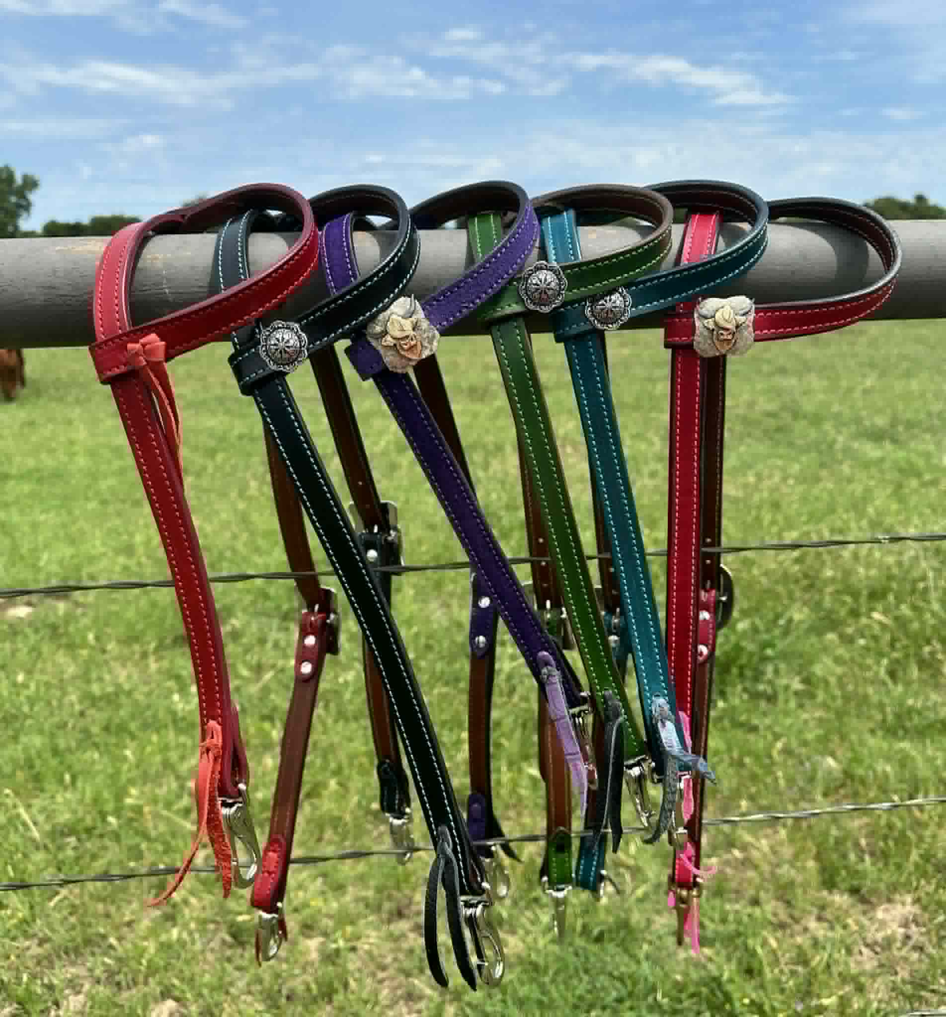 Single Ear Quickchange Headstall – Roughout or Smooth Leather, Custom Color & Stitching - Tack Rockin' M Leathers