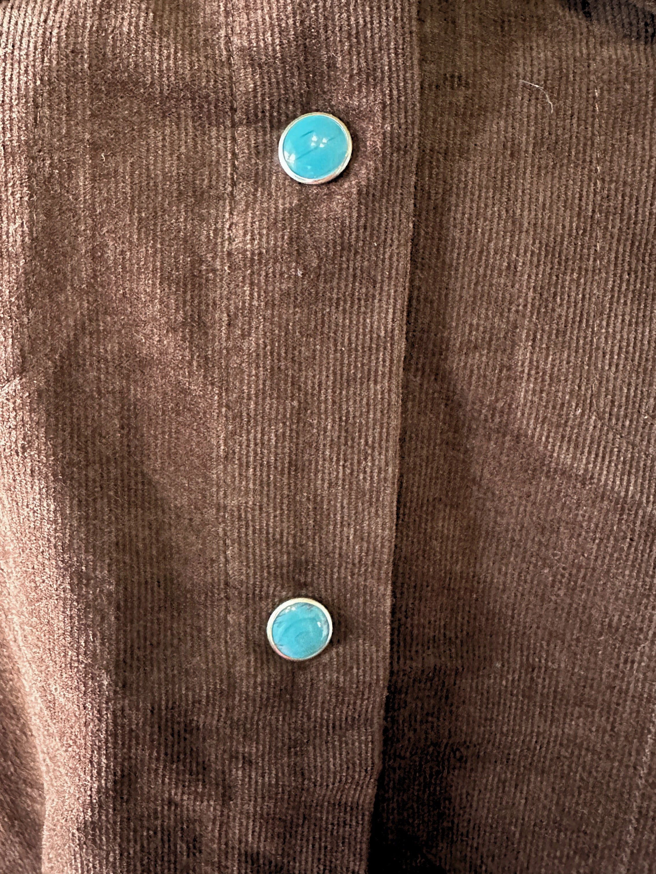 Tasha Polizzi Cordelia Western Shirt