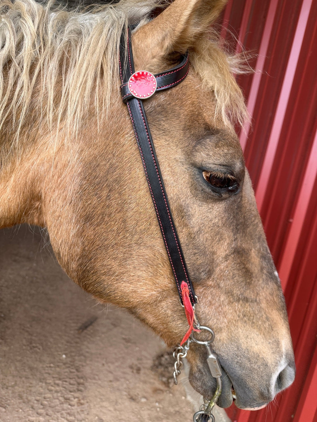 Single Ear Roughout or Smooth Dyed Quickchange Headstall - Tack Rockin' M Leathers, Silver & Stone