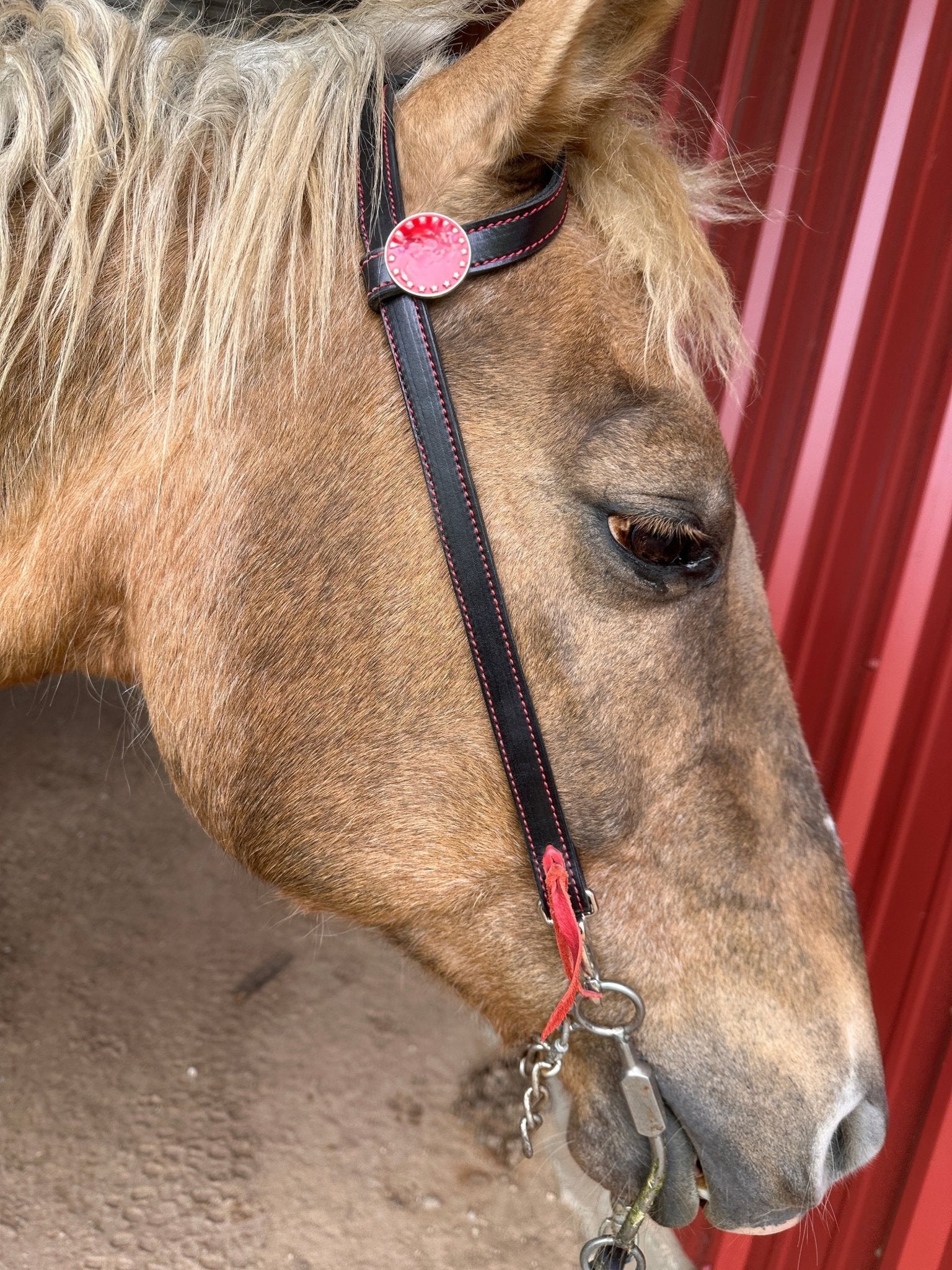 Single Ear Roughout or Smooth Dyed Quickchange Headstall - Tack Rockin' M Leathers, Silver & Stone